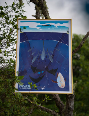 La passe merveilleuse de Fakarava