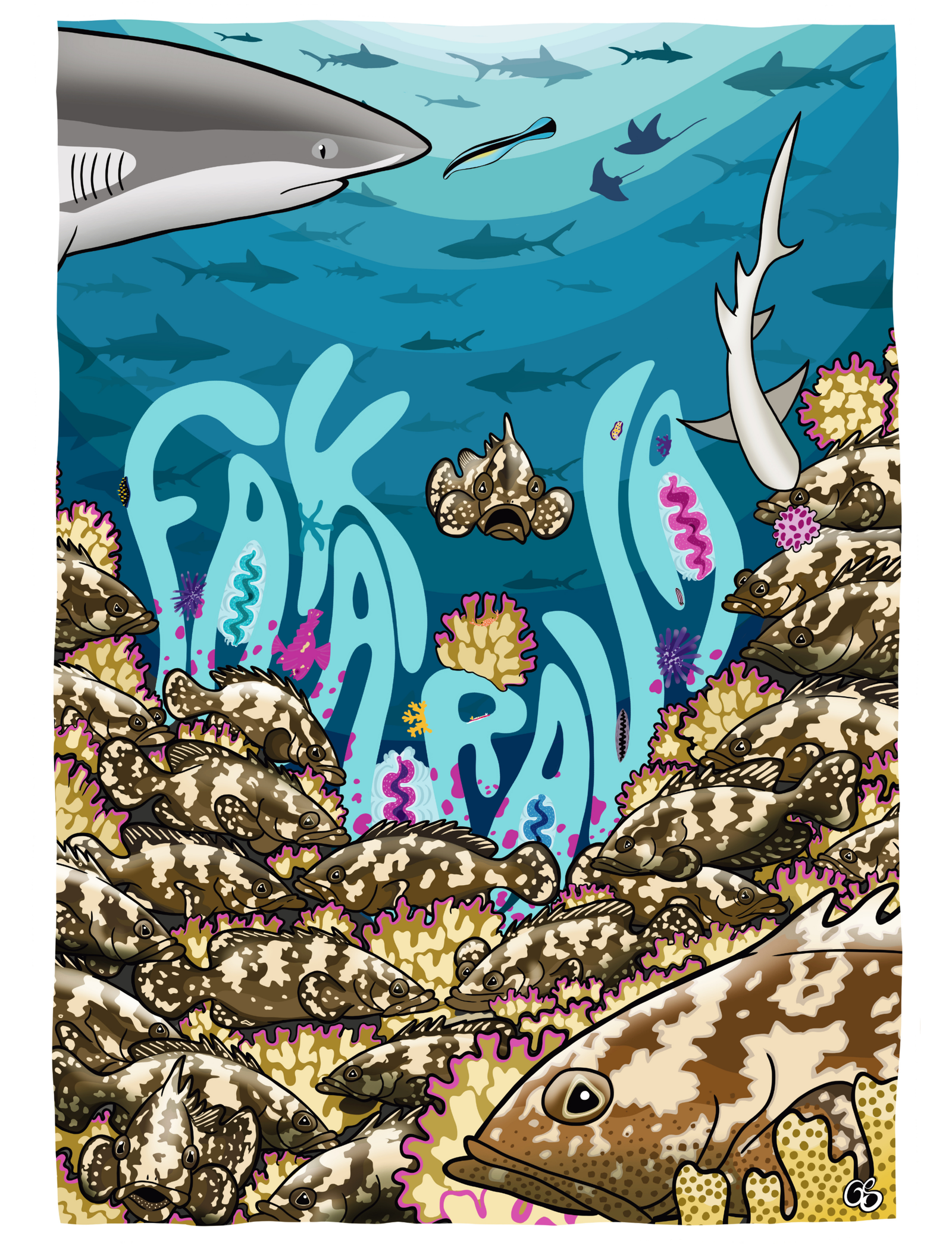 Les mérous de Fakarava