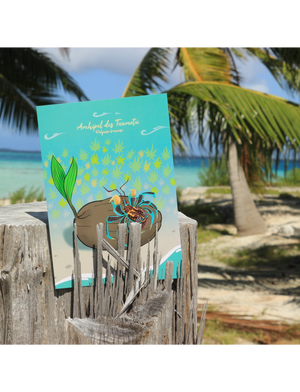 Kaveu des Tuamotu