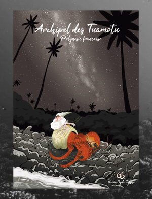 Une nuit aux Tuamotu