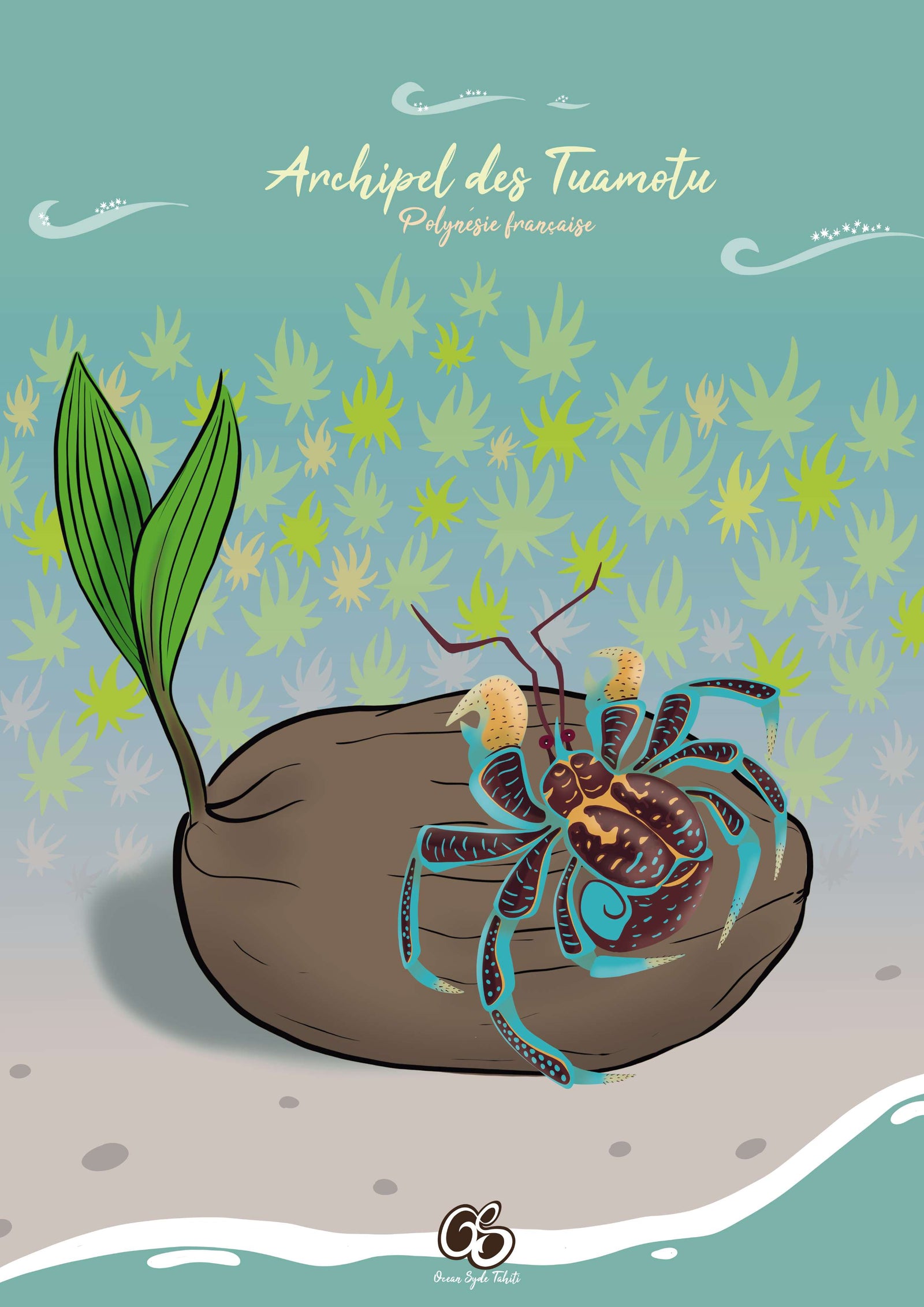 Kaveu des Tuamotu