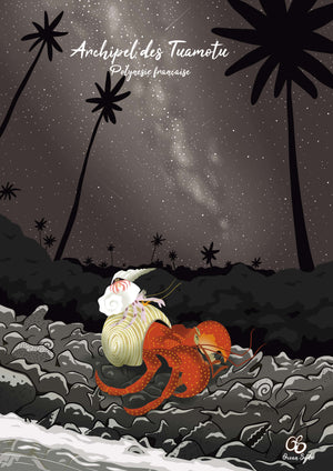 Une nuit aux Tuamotu